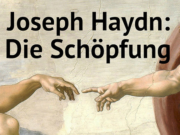 2311_Haydn_WEB_2.jpg 